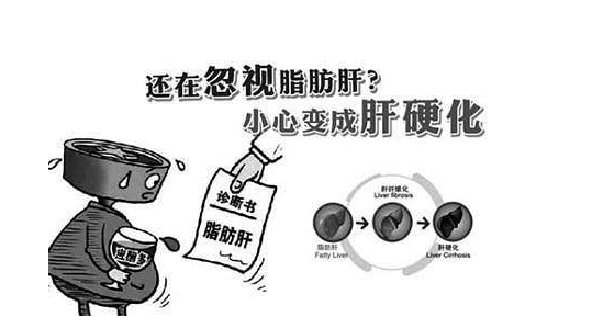 脂肪肝被稱為“隱蔽性肝硬化”,適當(dāng)補(bǔ)硒可降低危害性