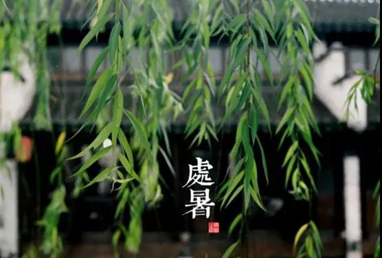 處暑養(yǎng)生小常識,謹記滋陰潤肺防秋燥