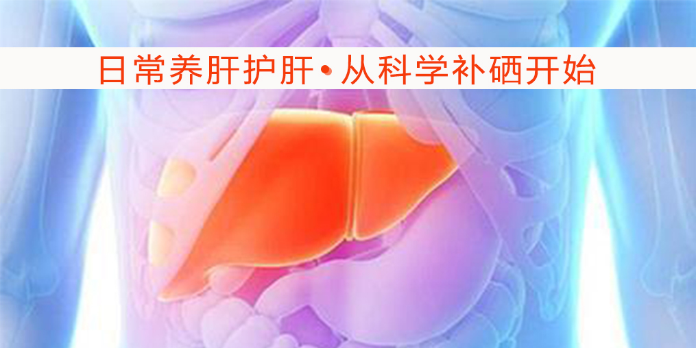   秋季保護肝臟健康，離不開微量元素硒的保護
