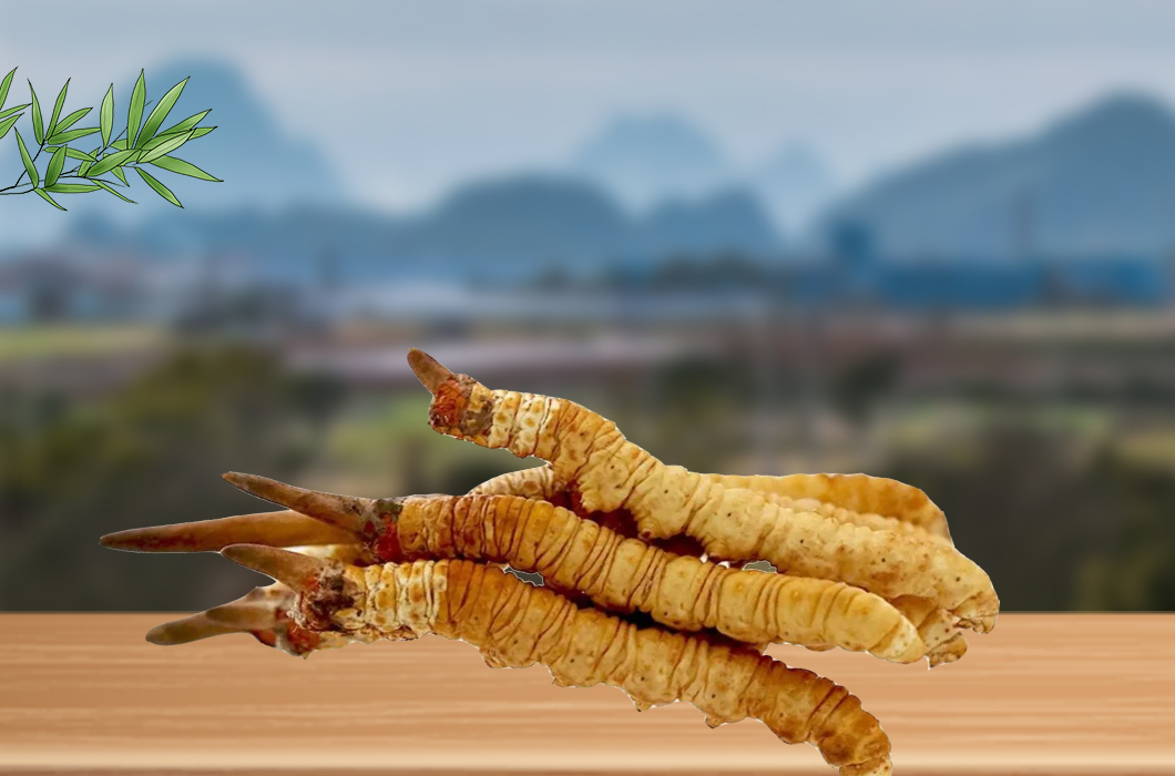 冬蟲夏草和腎病還有什么關(guān)系嗎？
