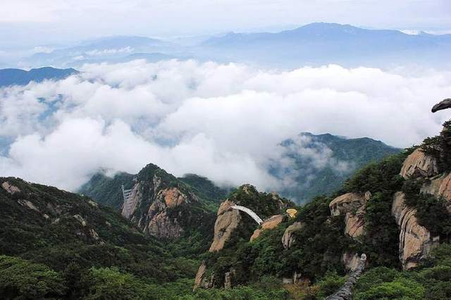 大別山的靈芝孢子粉為什么好？