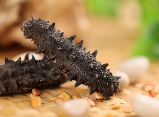 吃海參有什么好處？但有些人最好還是不要吃